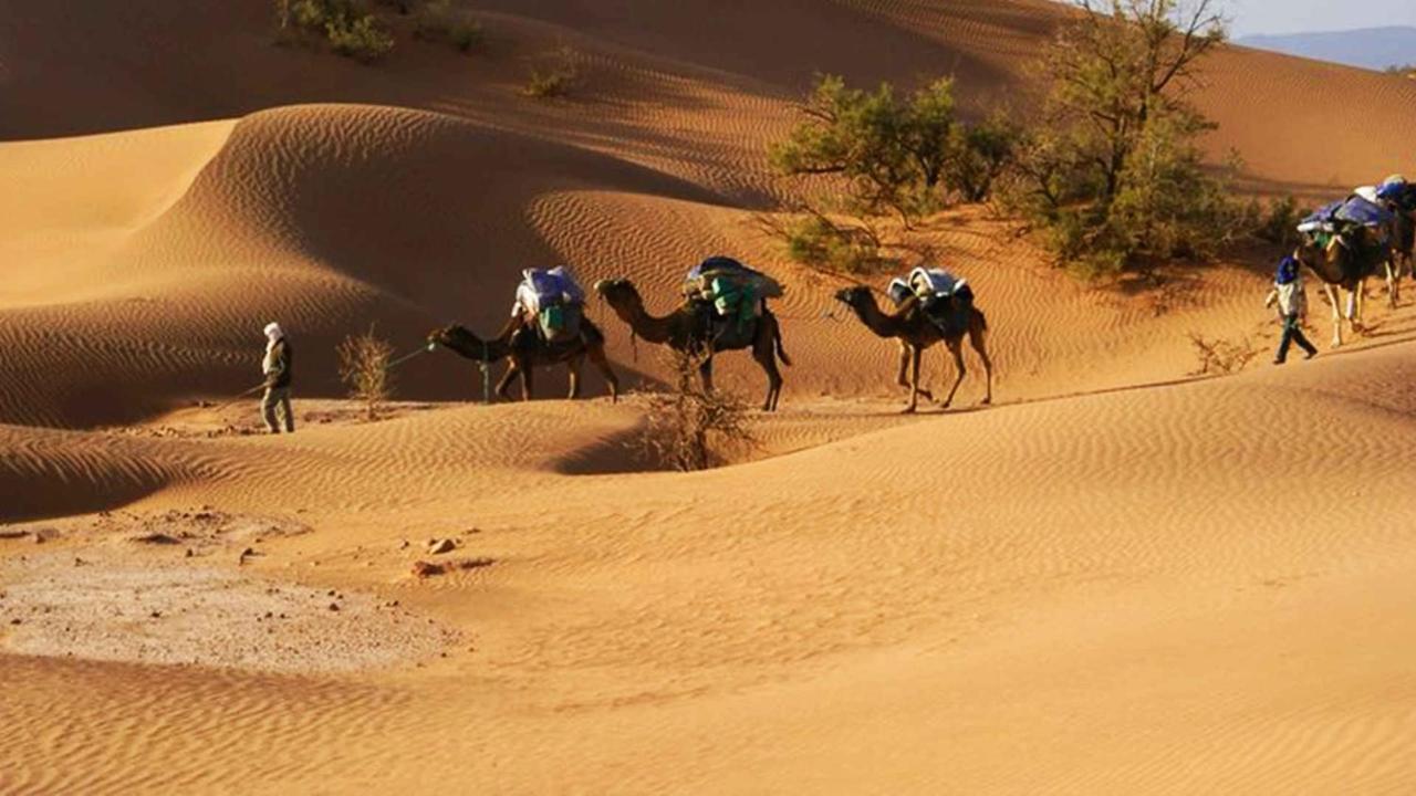 Camp Sahara Inspiration * M'Hamid