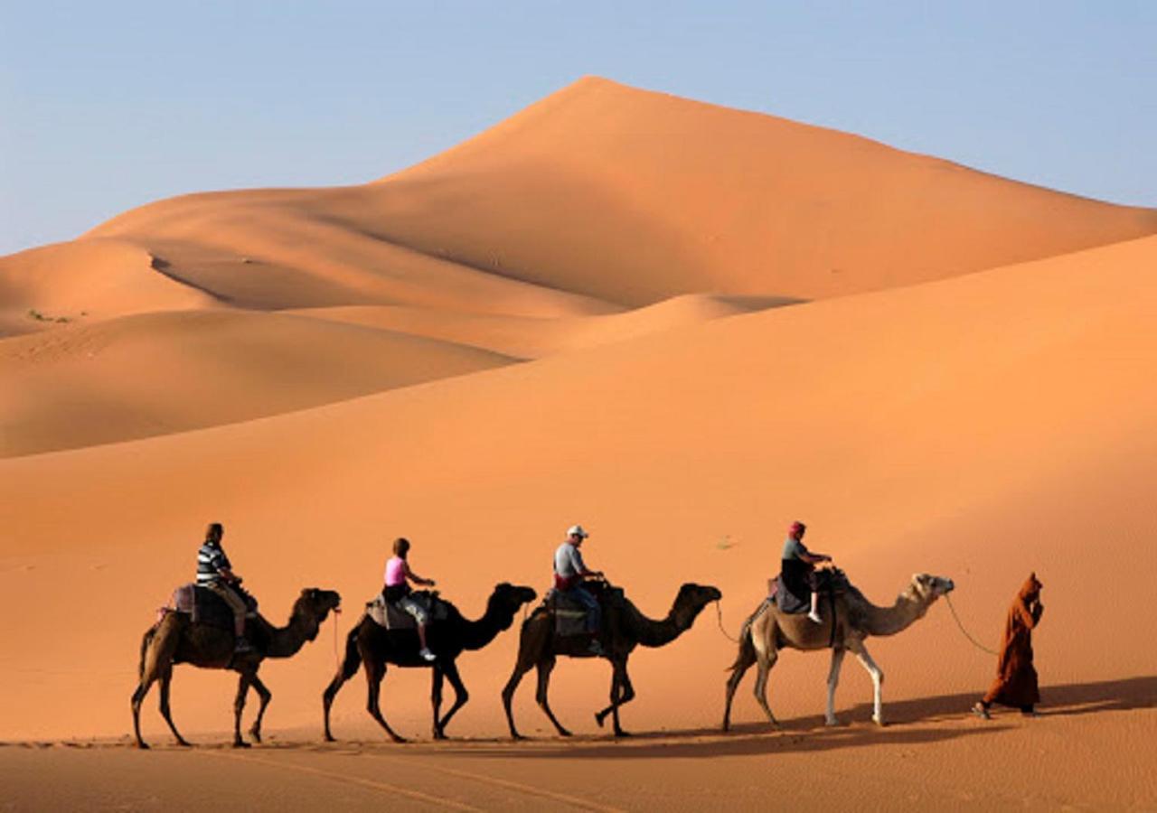 Camp Sahara Inspiration