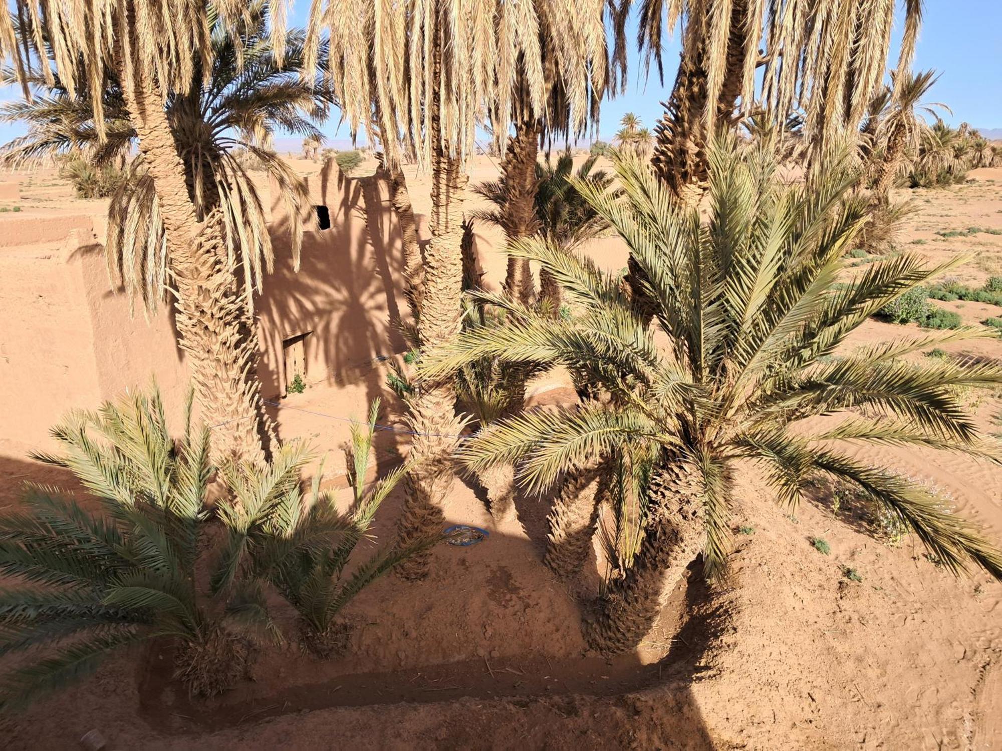 Campsite Camp Sahara Inspiration *